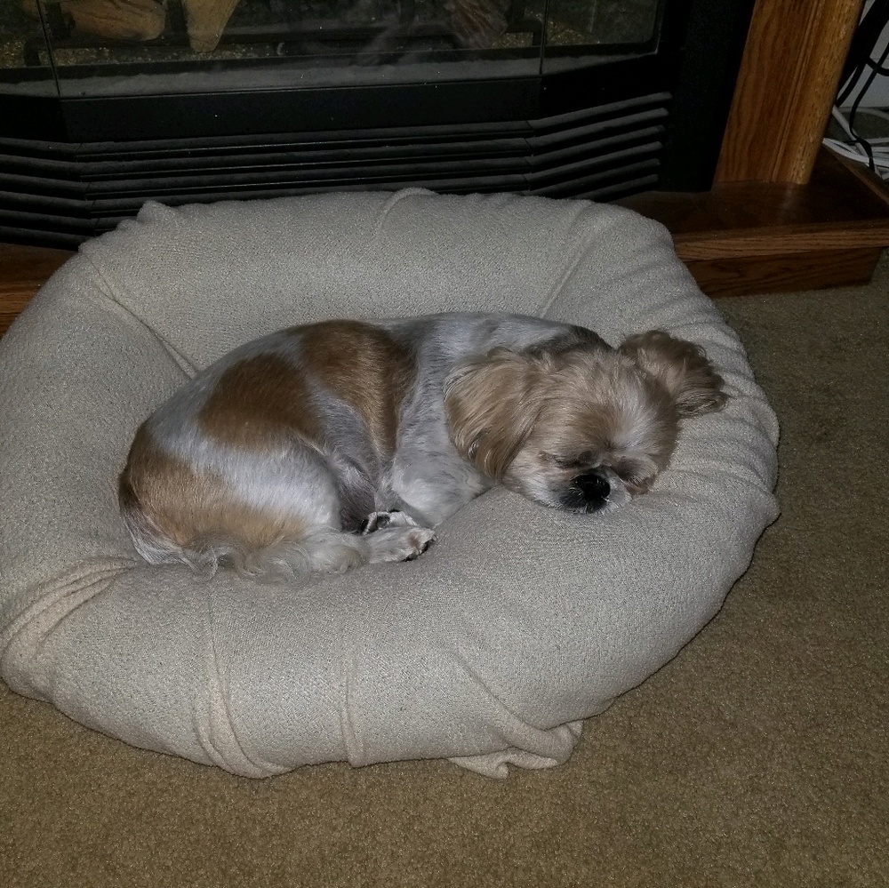 Meet your Posher, Phyllis